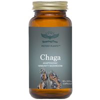 Soaring Free Chaga Mushroom Capsules